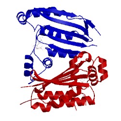 Image of CATH 1i5c