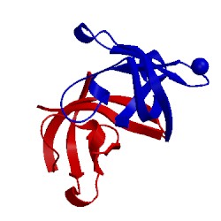 Image of CATH 1i5f