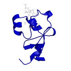 Image of CATH 1i5u
