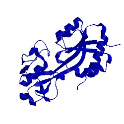 Image of CATH 1i6a