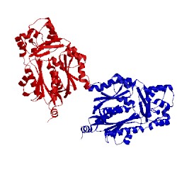Image of CATH 1i88