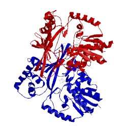 Image of CATH 1i8t