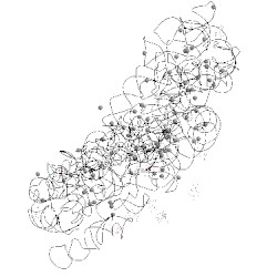Image of CATH 1i96