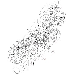 Image of CATH 1i97