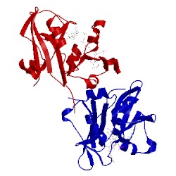 Image of CATH 1ia3