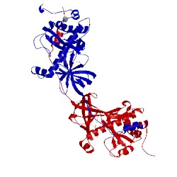 Image of CATH 1ia9