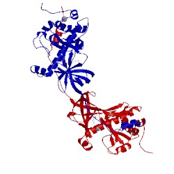 Image of CATH 1iah