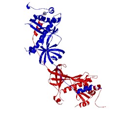 Image of CATH 1iaj