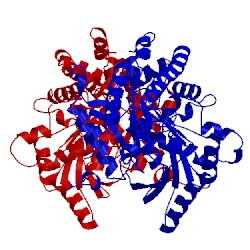 Image of CATH 1iax