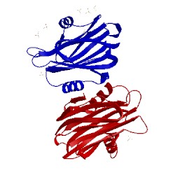 Image of CATH 1iaz