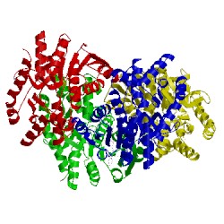 Image of CATH 1ib6