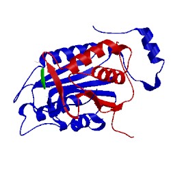 Image of CATH 1ibc