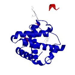 Image of CATH 1ibe