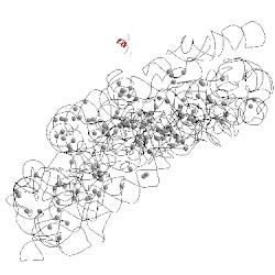 Image of CATH 1ibl