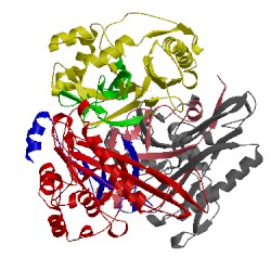 Image of CATH 1ibu