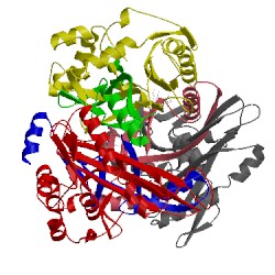 Image of CATH 1ibw