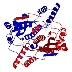 Image of CATH 1icr