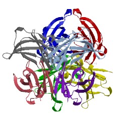 Image of CATH 1ict