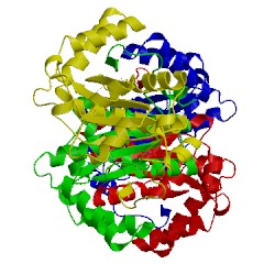 Image of CATH 1icu