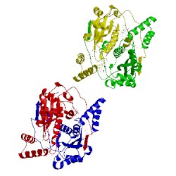 Image of CATH 1icv