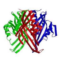 Image of CATH 1idp