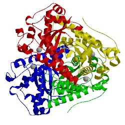 Image of CATH 1ids