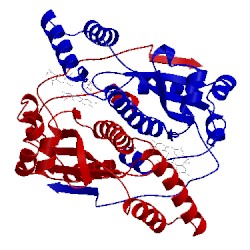 Image of CATH 1idt