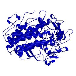 Image of CATH 1idu