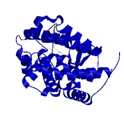 Image of CATH 1ie8
