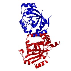 Image of CATH 1iec