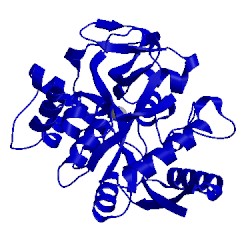 Image of CATH 1iej