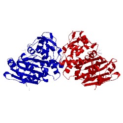 Image of CATH 1iem