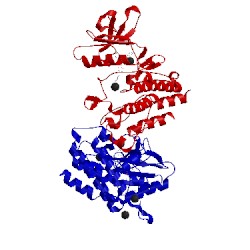 Image of CATH 1iep