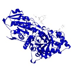 Image of CATH 1ieq