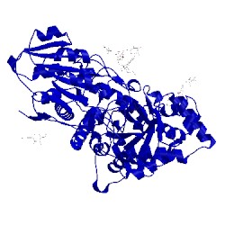 Image of CATH 1iew