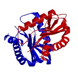 Image of CATH 1ifq