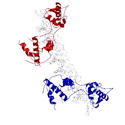 Image of CATH 1ign