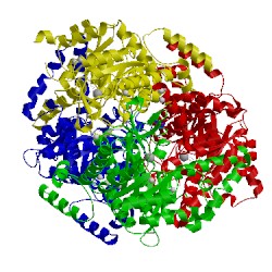 Image of CATH 1igw