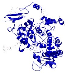 Image of CATH 1igx