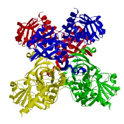 Image of CATH 1ihx