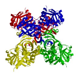 Image of CATH 1ihy