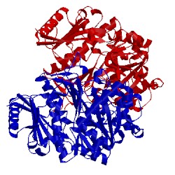 Image of CATH 1ii2