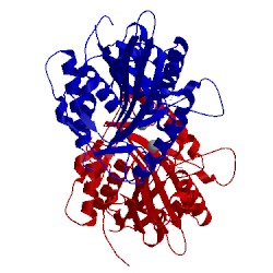 Image of CATH 1ii6