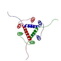 Image of CATH 1iie