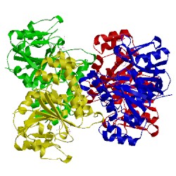 Image of CATH 1iin