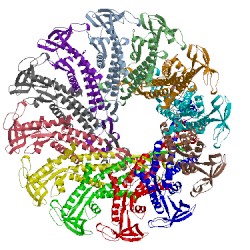 Image of CATH 1ijg