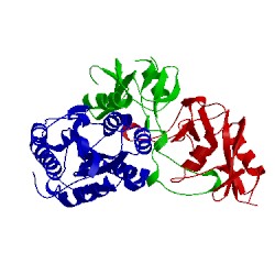 Image of CATH 1ijk
