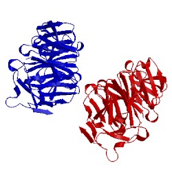 Image of CATH 1ijq