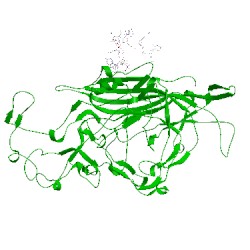 Image of CATH 1ijs