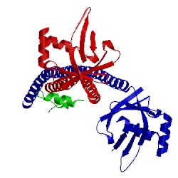 Image of CATH 1ik9